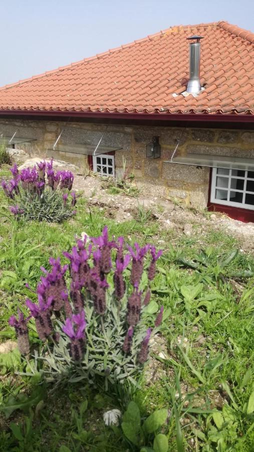 Casa Do Rancho - Turismo Rural Paranhos  Esterno foto